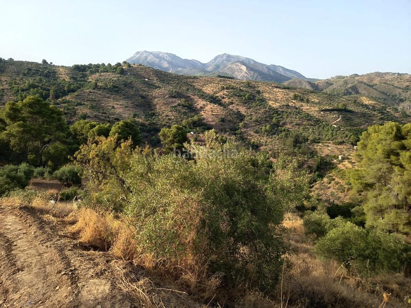 Foto 0dda6fe5-b821-49b9-89a6-ee123ec8c9fd. Finca rústica a Tolox