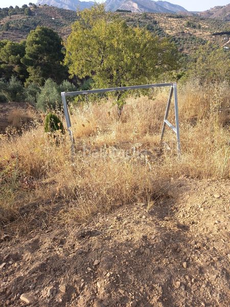 Foto 14c88d92-fbaa-4e4b-b76e-4b65083641e1. Finca rústica a Tolox