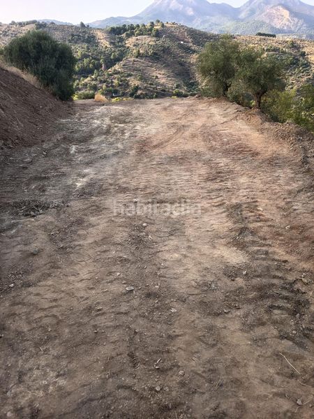 Foto 29a9fba7-a4ad-4ed3-b2b0-9895b194cb0f. Finca rústica a Tolox