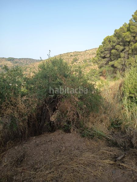 Foto 42d2af54-74e1-4328-92dd-944e938705d2. Finca rústica a Tolox