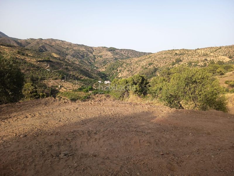 Foto 820a82e9-d961-41bf-aa0f-8006bd689740. Finca rústica a Tolox