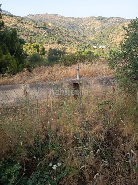 Foto bbc04900-7625-4fb8-98ff-dce7c753507f. Finca rústica a Tolox