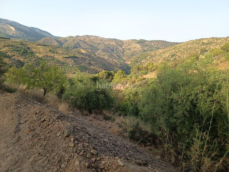Foto c448c0ab-5e87-4fb7-931a-d18b21f62a8d. Finca rústica a Tolox