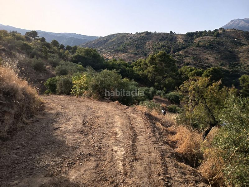 Foto c9bd14d5-10d8-41db-975a-1fe1c0590691. Finca rústica a Tolox