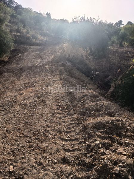 Foto d61c6bde-17f2-4f63-83a8-454aae3b166b. Finca rústica a Tolox