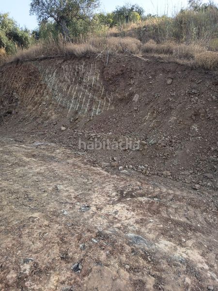 Foto ef12b89b-432c-4642-8631-c0f64dd76790. Finca rústica a Tolox