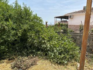 Masia a Casarabonela. Lote urbano urbanizable en casarabonela