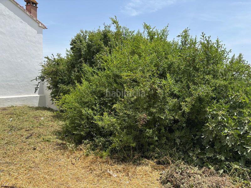 Foto ad81683d-e87e-4ecc-b2ee-79845b9d7981. Masia a Casarabonela