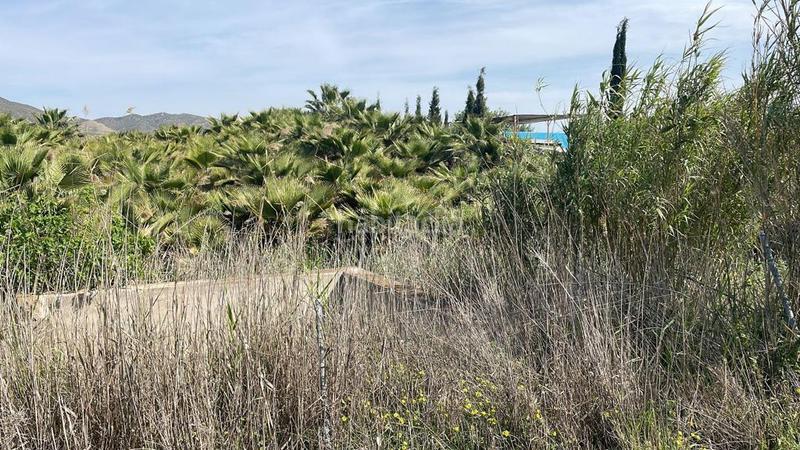 Foto 2fd6aafe-b2b6-4e26-9dc2-f4301208b617. Finca rústica a Cártama