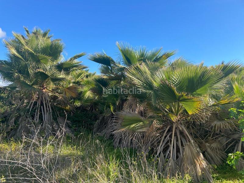 Foto 642ee52f-775a-4e57-9b76-67b00ea394ff. Finca rústica a Cártama