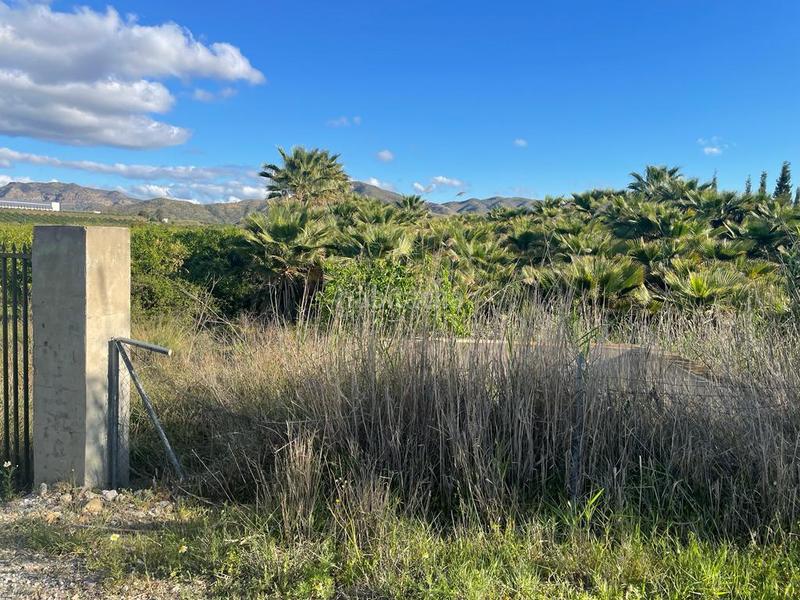 Foto ae5dd1d4-7fa4-436b-a1fe-02d373a66176. Finca rústica a Cártama