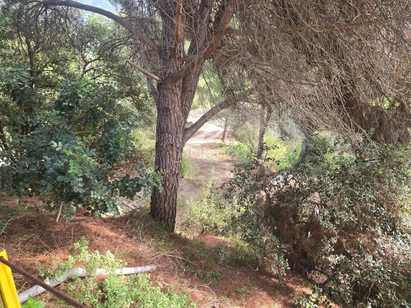 Foto 24722142-7759-4391-9045-2b9101d0325d. Masía finca rústica en Can Vinyals, ideal para proyecto rural, o segunda residencia !! en Esparreguera