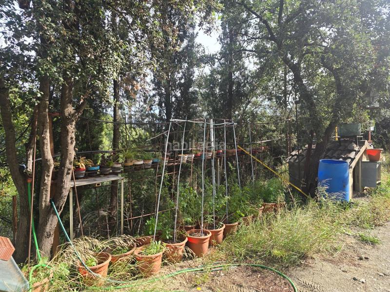 Foto 5748568e-b604-451c-a60e-102de3c1a223. Masía finca rústica en Can Vinyals, ideal para proyecto rural, o segunda residencia !! en Esparreguera