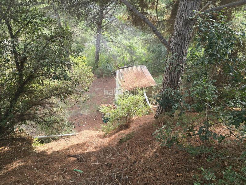 Foto 64d0ad90-6fa1-4b76-8ad4-9002f4d7b773. Masía finca rústica en Can Vinyals, ideal para proyecto rural, o segunda residencia !! en Esparreguera