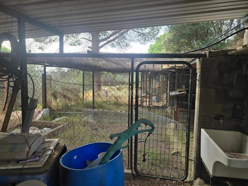 Foto f0216667-c26e-48d7-8314-14cb4efa455b. Masía finca rústica en Can Vinyals, ideal para proyecto rural, o segunda residencia !! en Esparreguera