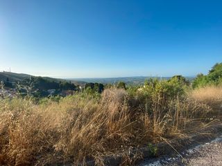 Residential Plot  Calle angel guimera calicanto