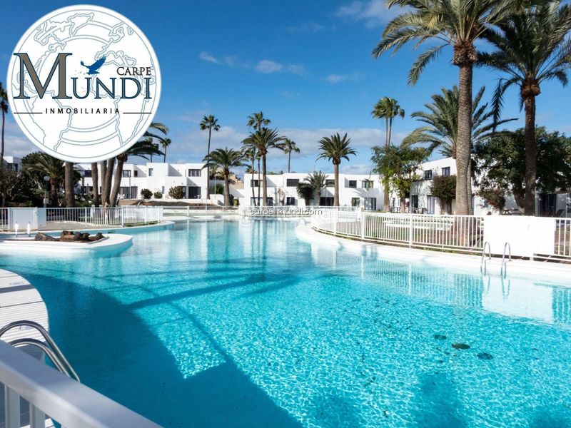 Foto 046be5c4-9388-46de-997b-ffd8d811c91c. Apartament amb piscina a Corralejo Oliva (La)