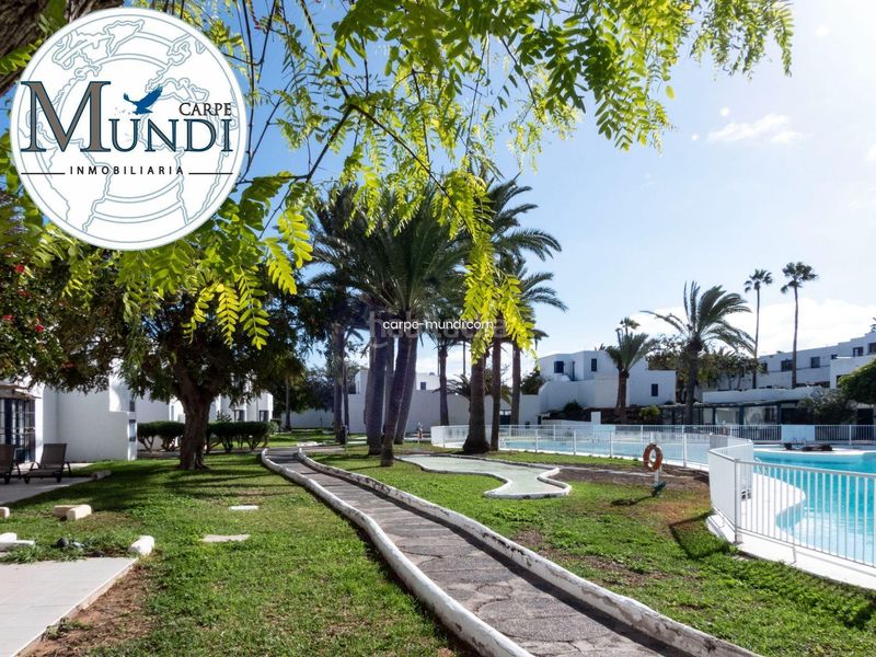 Foto 2c01c726-f2e3-4d63-9477-d320a3b8ef9b. Apartament amb piscina a Corralejo Oliva (La)