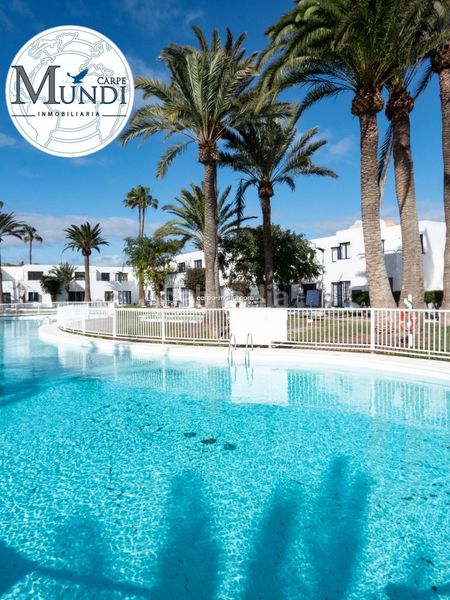 Foto 4bf24947-a038-453f-873a-e4665b7d4654. Apartament amb piscina a Corralejo Oliva (La)