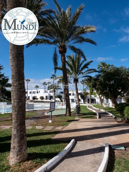 Foto 57935f15-9535-45b5-9f6a-c87c7b3a8f9a. Apartament amb piscina a Corralejo Oliva (La)