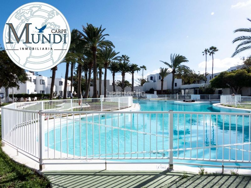 Foto aad031f9-dca0-4140-9e61-83b6f4f32acb. Apartament amb piscina a Corralejo Oliva (La)