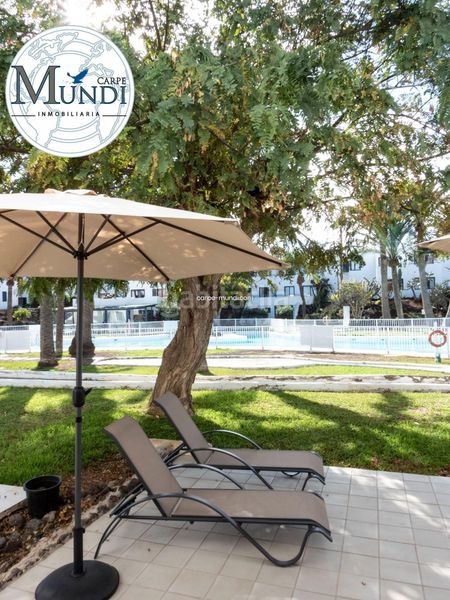 Foto e262cdf0-d3a1-4fc5-b2a1-24cff6434449. Apartament amb piscina a Corralejo Oliva (La)