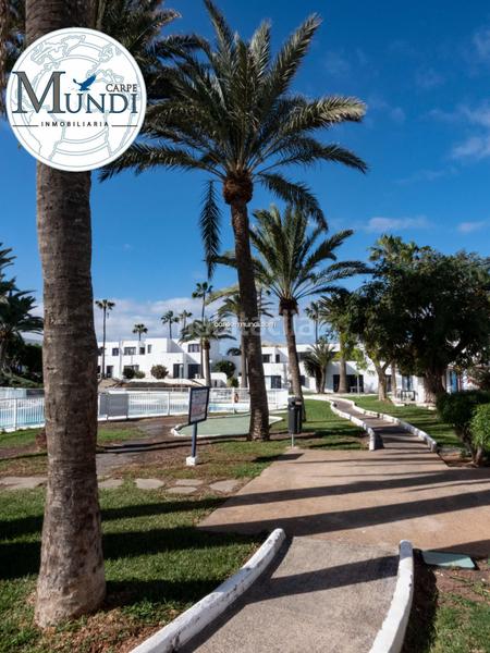 Foto c3b2d3a8-4ef1-42ba-99ea-3b1169d15c0d. Apartament amb piscina a Corralejo Oliva (La)