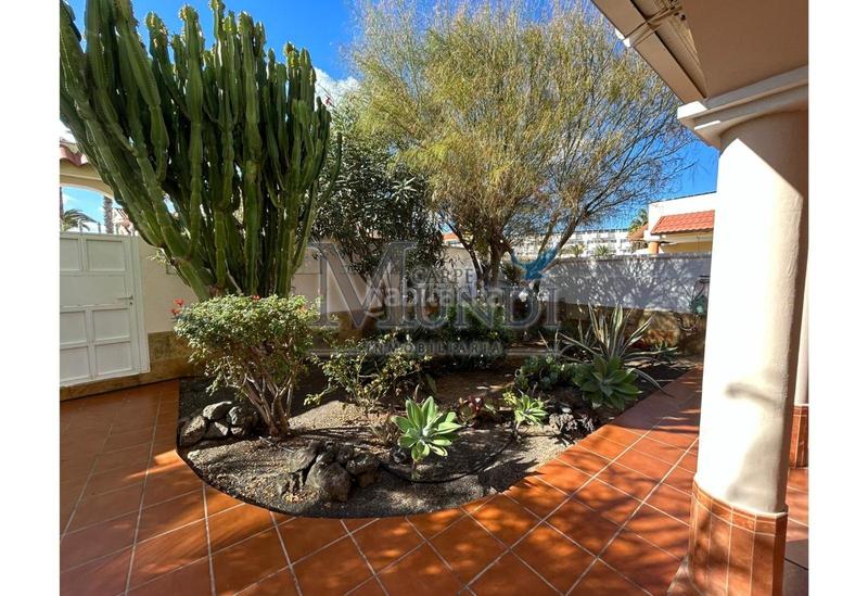 Foto 01ba1902-2d44-435c-a8d2-46ef92e15f6e. Chalet  en Corralejo. en Corralejo Oliva (La)
