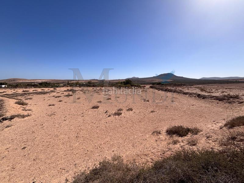 Foto 2afd9855-76ce-4b1a-8c28-11a6f06b5381. Fondo rustico in Vejer Vejer de la Frontera