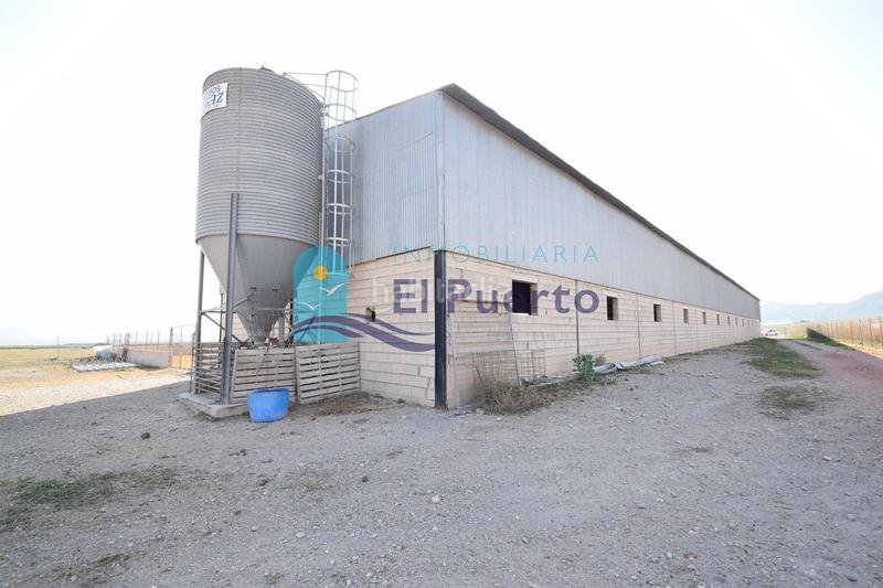 Foto 3ad47422-618d-4f8c-9267-06df6fbf5297. Landgut in Mazarrón casco urbano Mazarrón