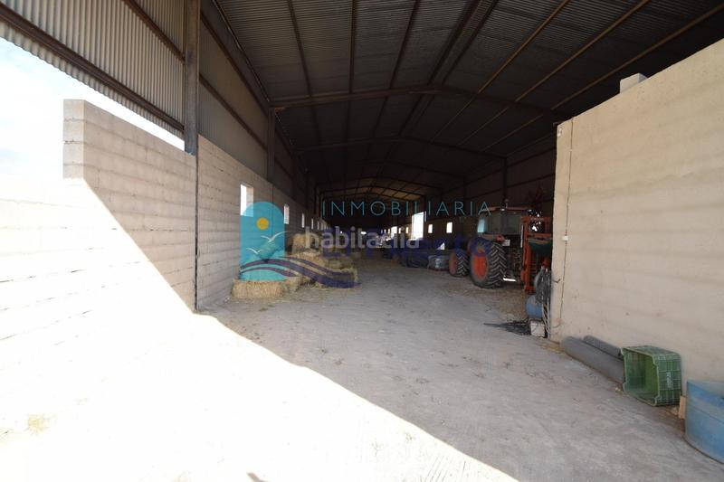 Foto 74ed6e47-c230-4b7f-96d2-37ff65193670. Landgut in Mazarrón casco urbano Mazarrón