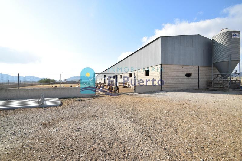 Foto d20d8de1-f392-439e-8381-d4687f9b8192. Landgut in Mazarrón casco urbano Mazarrón