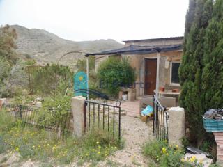 Rural plot in Mazarrón Casco Urbano. Finca vallada con agua y facilidad para electricidad. ref 226