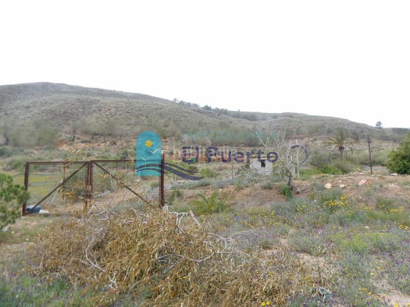 Foto 98b82884-a956-4b41-854b-55d561c37f46. Rural plot in Mazarrón casco urbano Mazarrón