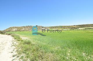 Rural plot in Mazarrón Casco Urbano. Terreno de 20.000 metros en la majada
