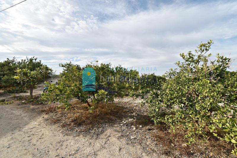 Foto 8571d2e8-7c2a-4ab9-9656-52a0bea5d4e6. Casa amb calefacció piscina a Mazarrón casco urbano Mazarrón