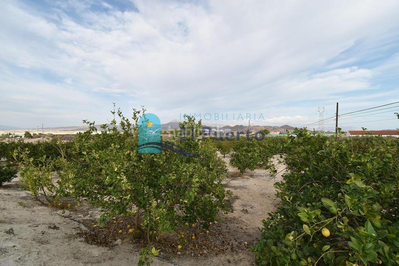 Foto 87b27d7a-7054-43c4-bb63-d87ac84b470a. Casa amb calefacció piscina a Mazarrón casco urbano Mazarrón
