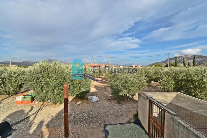 Foto bc9d9fa9-11ed-4cb3-9d25-942a6da930a9. Casa amb calefacció piscina a Mazarrón casco urbano Mazarrón