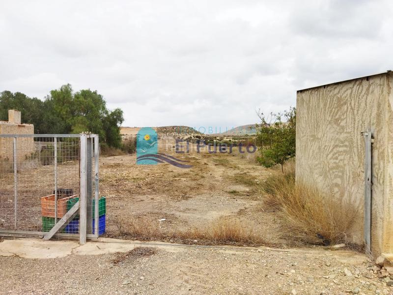 Foto c8ab9871-5756-4f46-944c-93ab8c69299b. Finca rústica terreno rural vallado ref 539 en Sierra de Carrascoy Alhama de Murcia