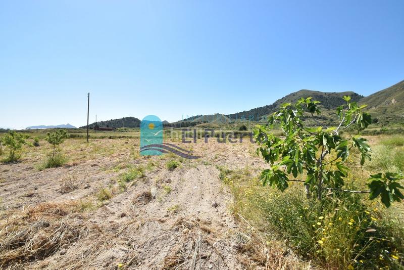 Foto d43f269e-b5a4-4d37-91d7-a143dc634caa. Casa in Mazarrón casco urbano Mazarrón