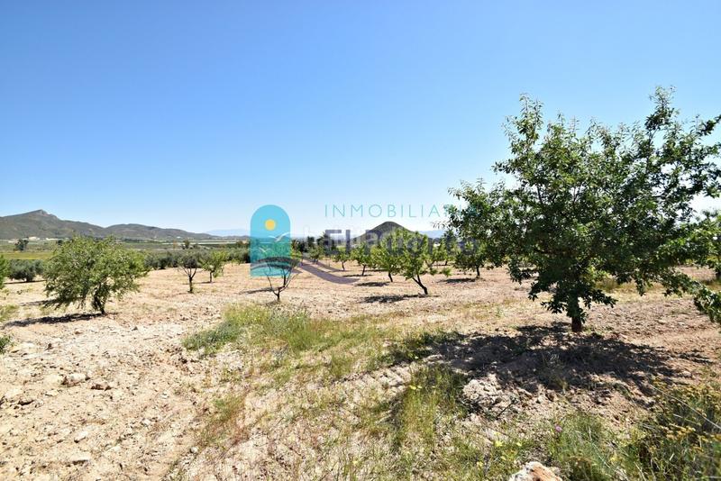 Foto dfb20395-dff8-4570-bd19-e2f573804c3e. Casa in Mazarrón casco urbano Mazarrón