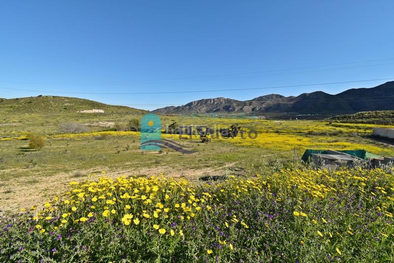 Foto 59b741ac-0dad-41fb-9d6e-bea0e9e7088c. Maison dans Mazarrón casco urbano Mazarrón