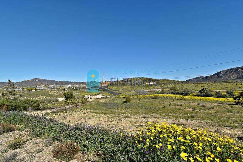 Foto 67ad1e41-221a-4e5f-9c1b-740575de7c9e. Maison dans Mazarrón casco urbano Mazarrón