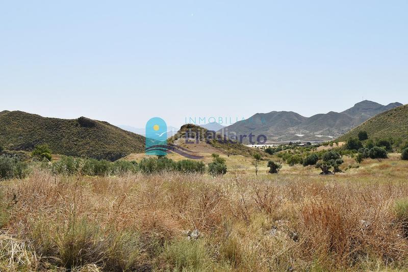 Foto 512e9d27-dcf4-470d-873f-9474637b398b. Masia a Morata Lorca