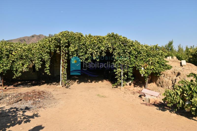 Foto 0bcb4209-bc98-4b62-a635-601fef786886. Rural plot in Mazarrón casco urbano Mazarrón