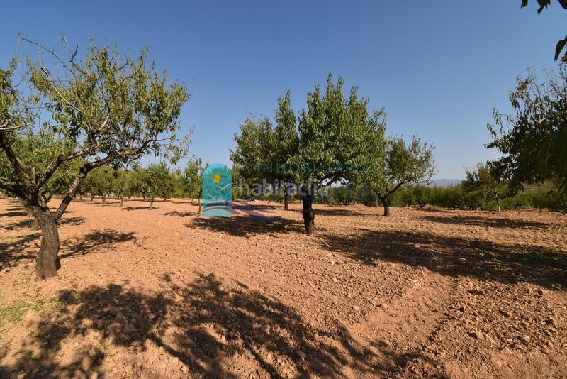 Foto 1e880cfb-14e1-4bf8-a09b-865f2456f1c5. Rural plot in Mazarrón casco urbano Mazarrón