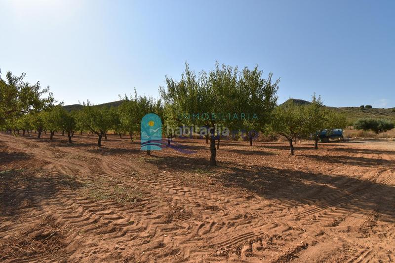 Foto 1e91e33b-1ca2-4002-9018-b935d85f651f. Rural plot in Mazarrón casco urbano Mazarrón