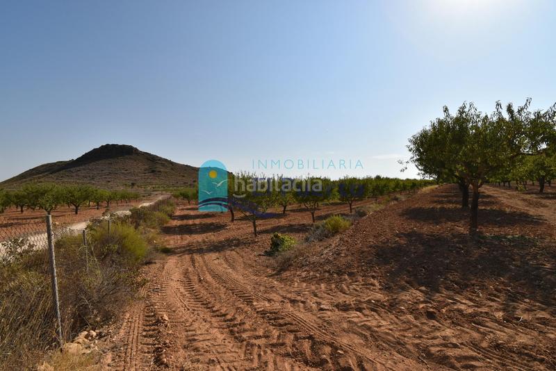 Foto 1f5ca220-3ea7-4f82-b260-5e2c50347e19. Rural plot in Mazarrón casco urbano Mazarrón