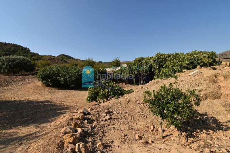 Foto 21aaeb67-8363-4cb4-b2f9-48364b91b9ff. Rural plot in Mazarrón casco urbano Mazarrón