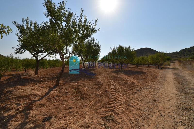 Foto 3ec6c8dd-d625-40bd-92d9-c7af6cd5e30d. Rural plot in Mazarrón casco urbano Mazarrón